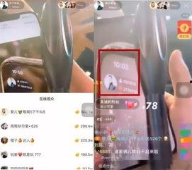 吴迪爆料仙家视频大全最新,仙家视频大全最新爆料，带你一探究竟