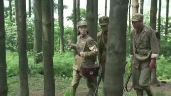 老杨最新爆料视频大全在线观看,视频大全在线观看，精彩内容抢先看  第2张